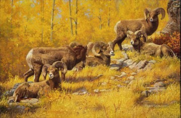 羊11 Oil Paintings